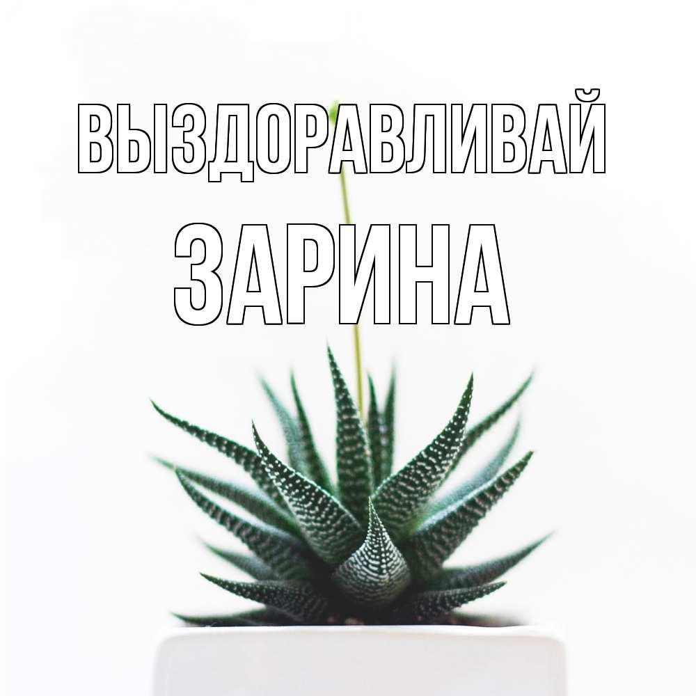 Открытка на каждый день с именем, Зарина Выздоравливай короче это непонятная колючка Прикольная открытка с пожеланием онлайн скачать бесплатно 