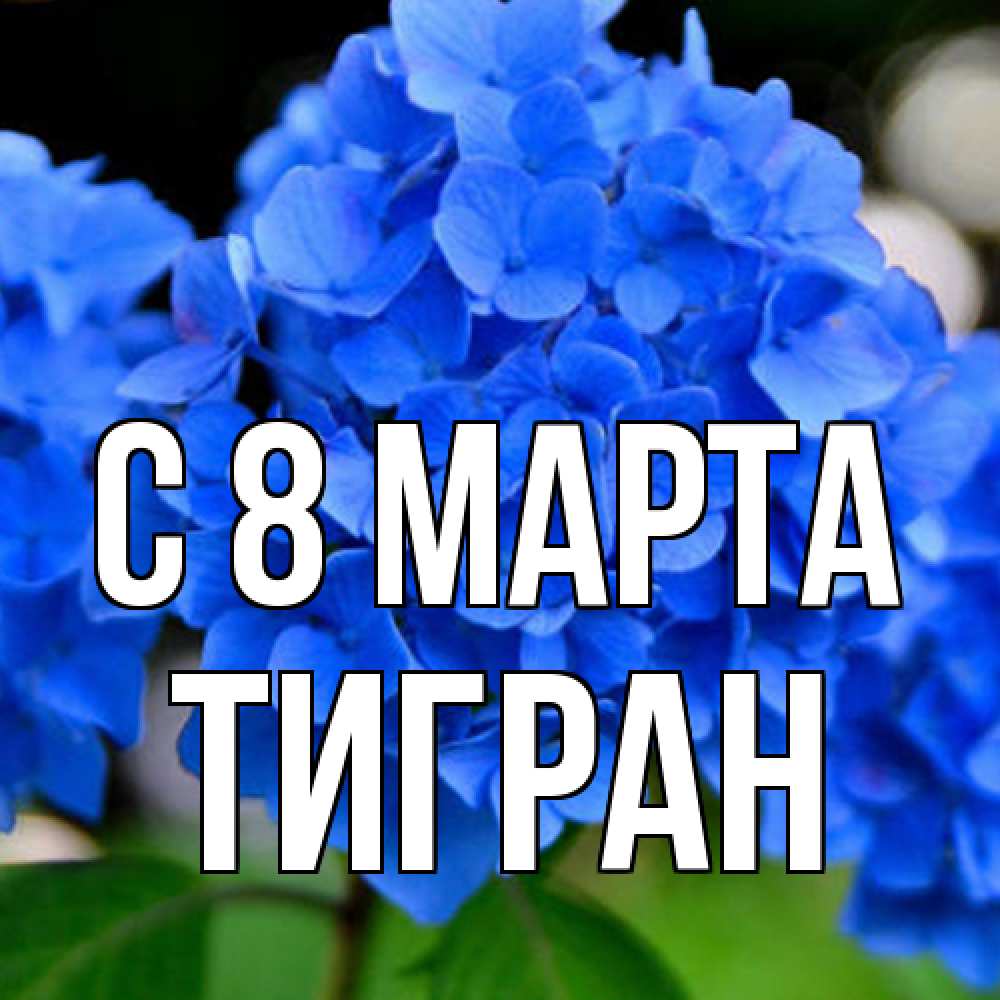 Открытка на каждый день с именем, Тигран C 8 МАРТА синие цветы Прикольная открытка с пожеланием онлайн скачать бесплатно 
