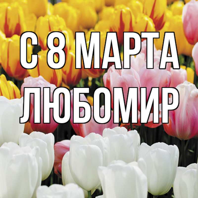 Картинка C 8 МАРТА, Любомир