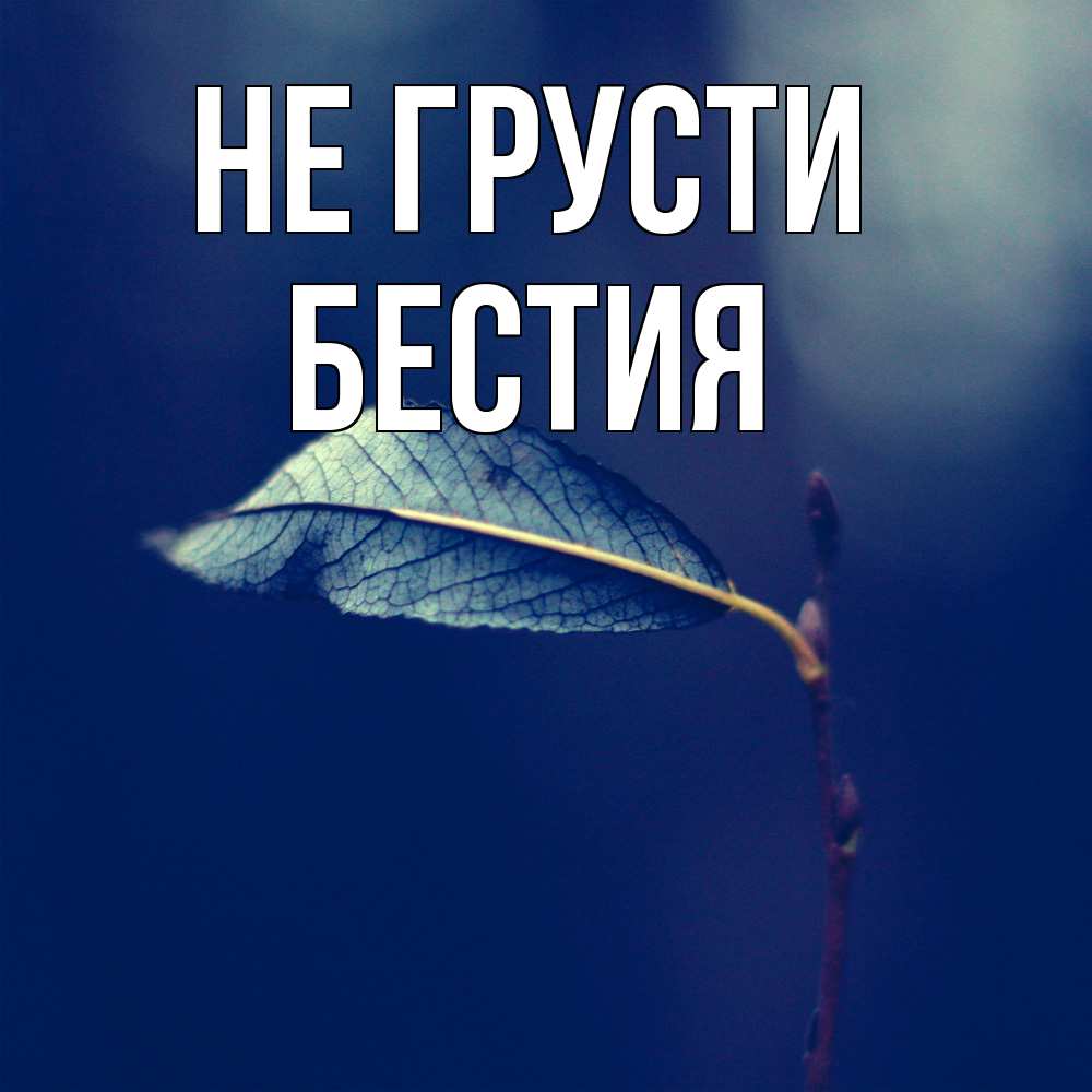 Открытка на каждый день с именем, Бестия Не грусти растение Прикольная открытка с пожеланием онлайн скачать бесплатно 
