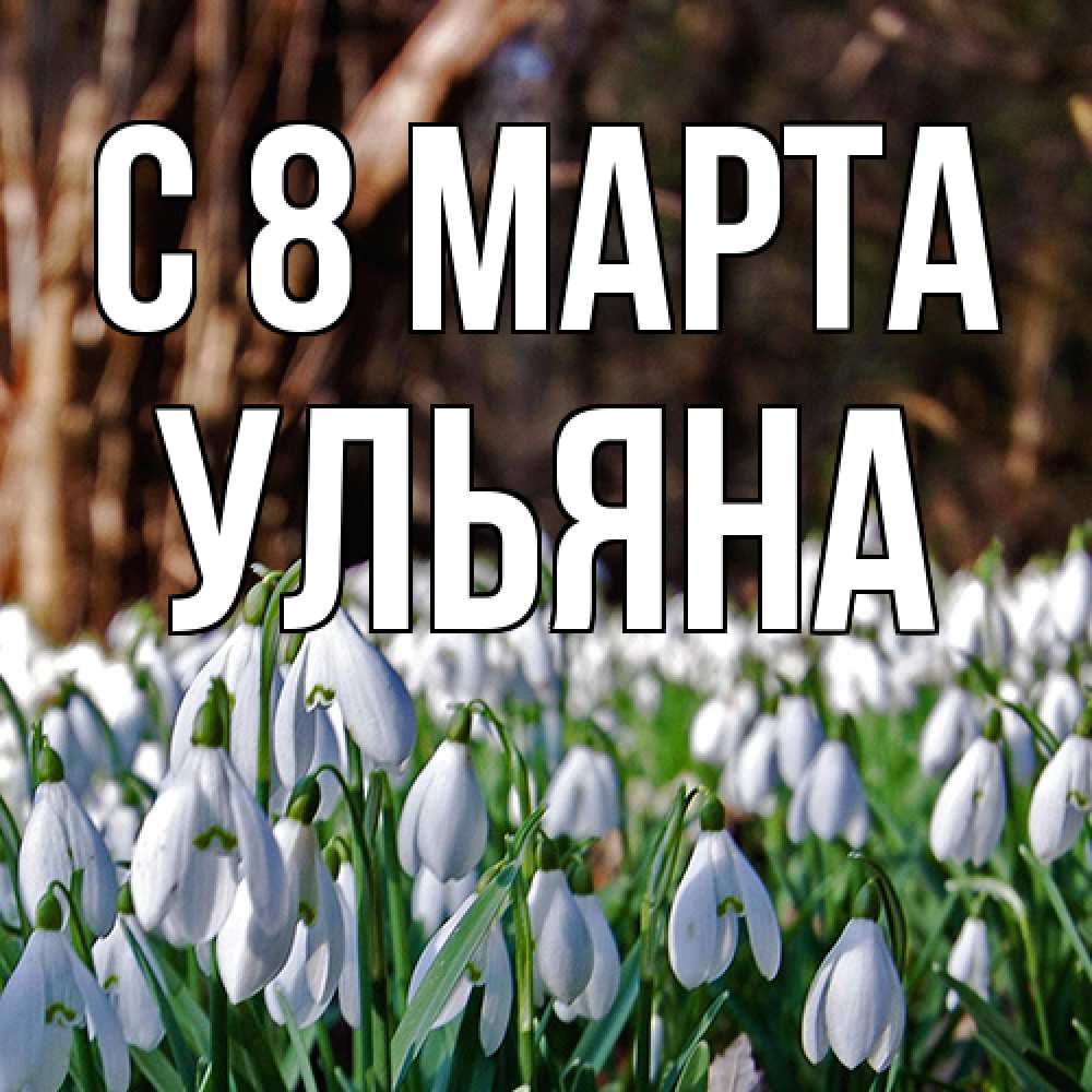 Открытка на каждый день с именем, Ульяна C 8 МАРТА с подснежниками 1 Прикольная открытка с пожеланием онлайн скачать бесплатно 