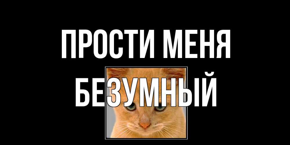 Открытка на каждый день с именем, Безумный Прости меня рыжий грустный кот просит прощения Прикольная открытка с пожеланием онлайн скачать бесплатно 