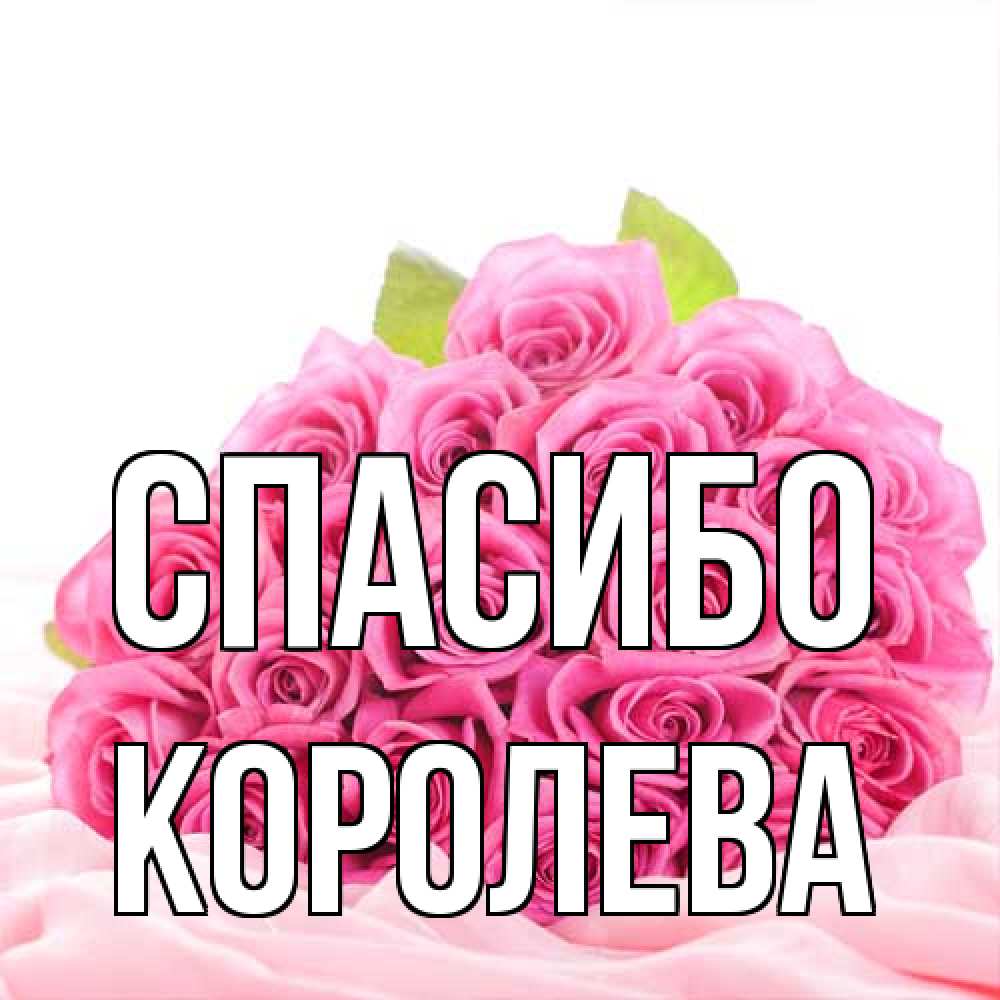 Открытка на каждый день с именем, королева Спасибо розовые розы с подписью Прикольная открытка с пожеланием онлайн скачать бесплатно 