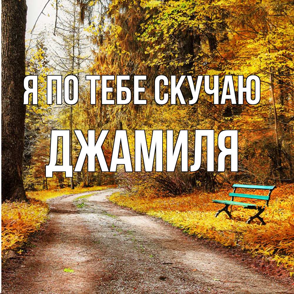 Открытка на каждый день с именем, Джамиля Я по тебе скучаю зеленая лавочка и осенний лес Прикольная открытка с пожеланием онлайн скачать бесплатно 