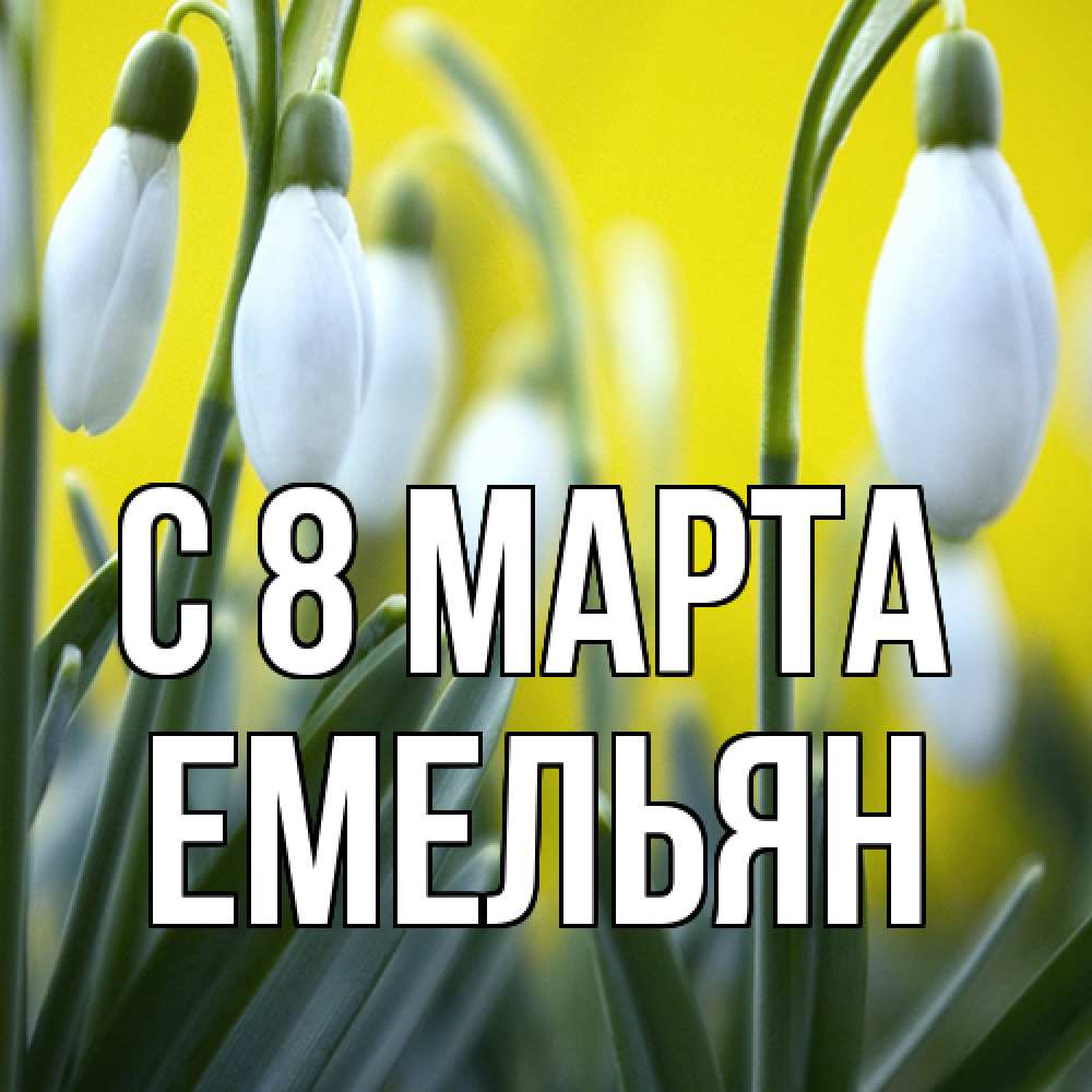 Открытка на каждый день с именем, Емельян C 8 МАРТА весенние цветы Прикольная открытка с пожеланием онлайн скачать бесплатно 