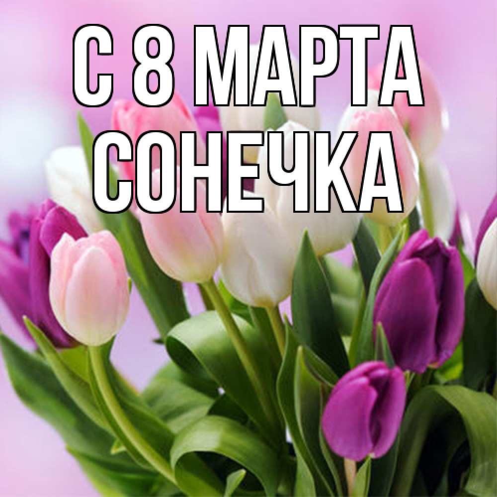 Открытка на каждый день с именем, Сонечка C 8 МАРТА весна март Прикольная открытка с пожеланием онлайн скачать бесплатно 