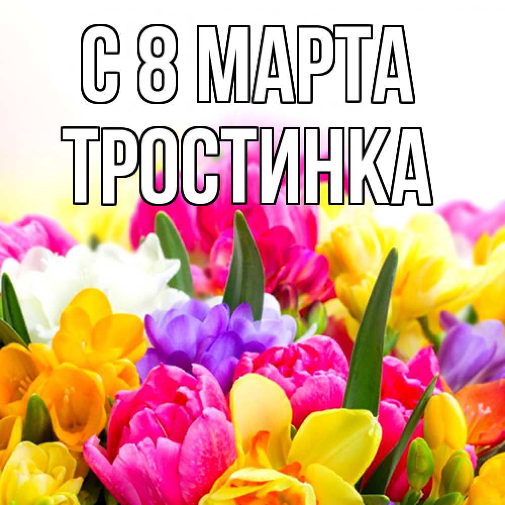 Открытка на каждый день с именем, Тростинка C 8 МАРТА тюльпаны Прикольная открытка с пожеланием онлайн скачать бесплатно 