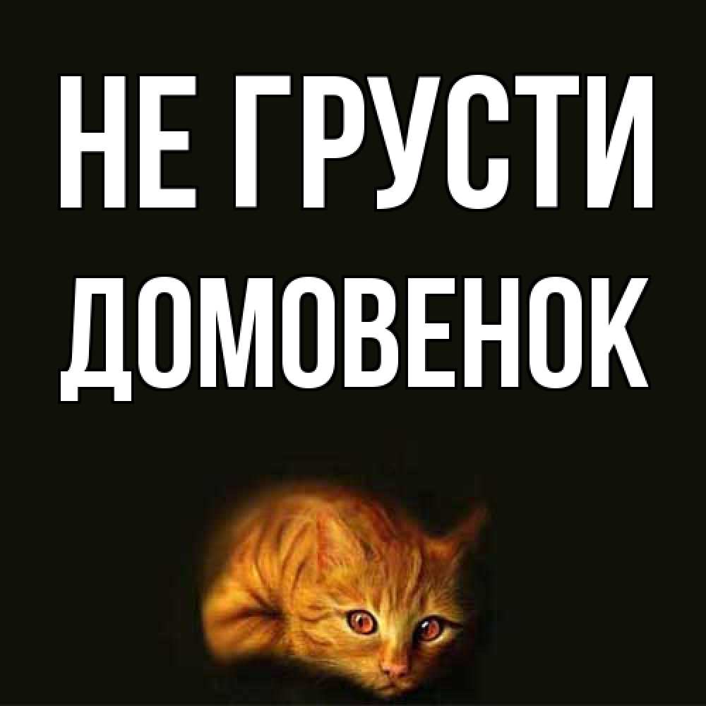 Открытка на каждый день с именем, Домовенок Не грусти лежащий кот в темноте Прикольная открытка с пожеланием онлайн скачать бесплатно 