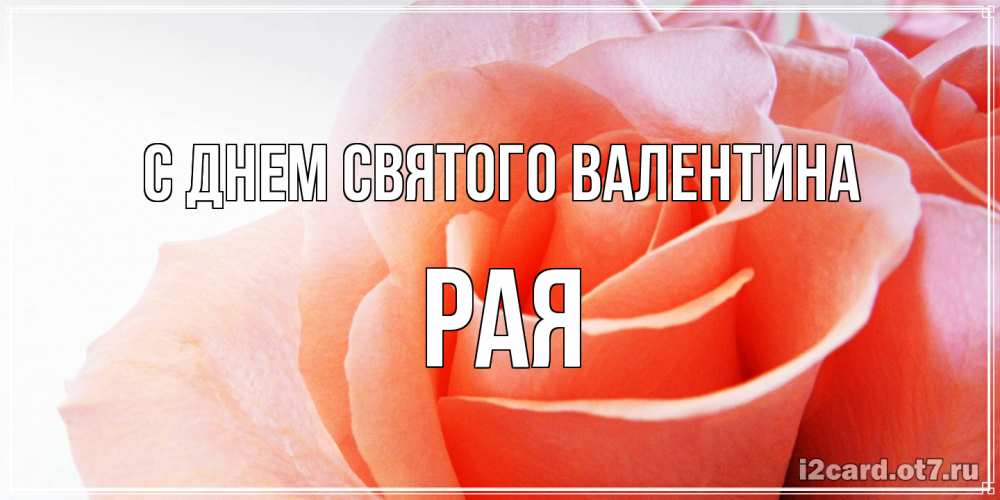 Открытка на каждый день с именем, Рая С днем Святого Валентина открытка на день Святого Валентина с розовой розой Прикольная открытка с пожеланием онлайн скачать бесплатно 
