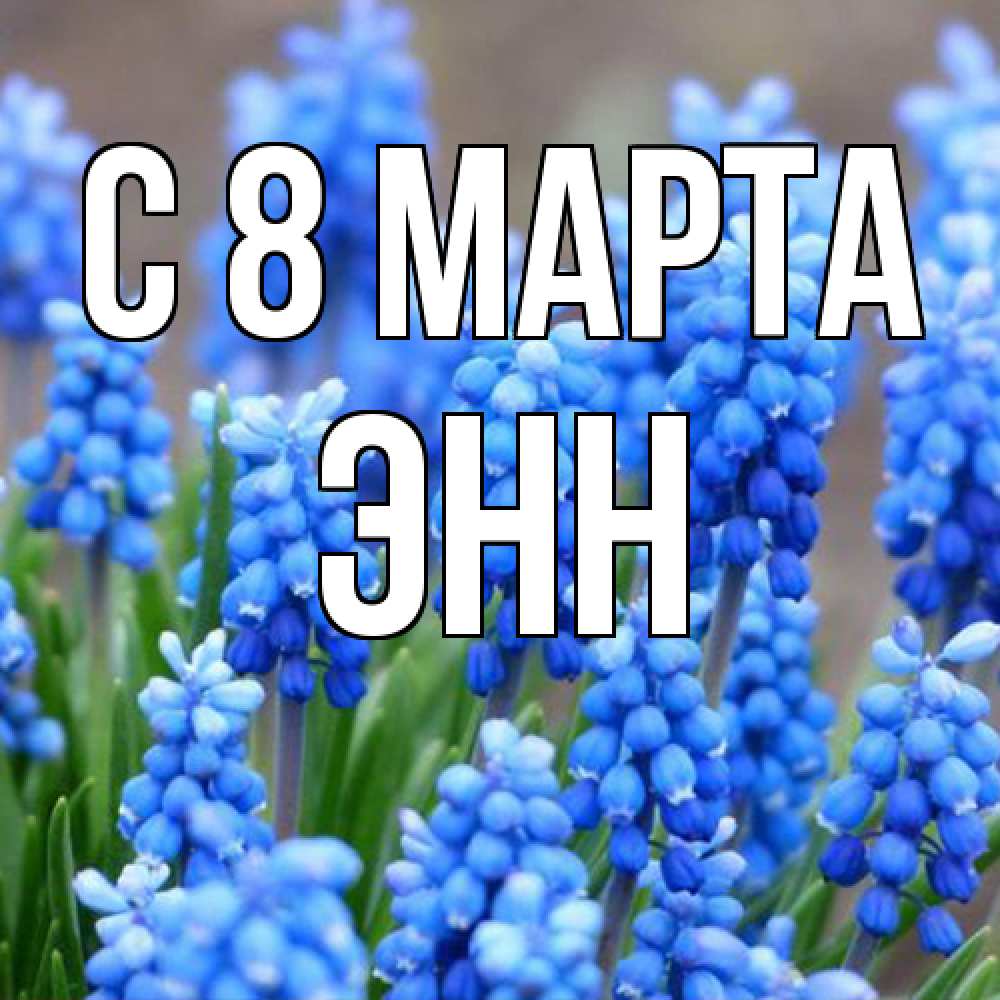 Открытка на каждый день с именем, Энн C 8 МАРТА Поздравительная открытка для женщин с цветами на праздничную дату Прикольная открытка с пожеланием онлайн скачать бесплатно 