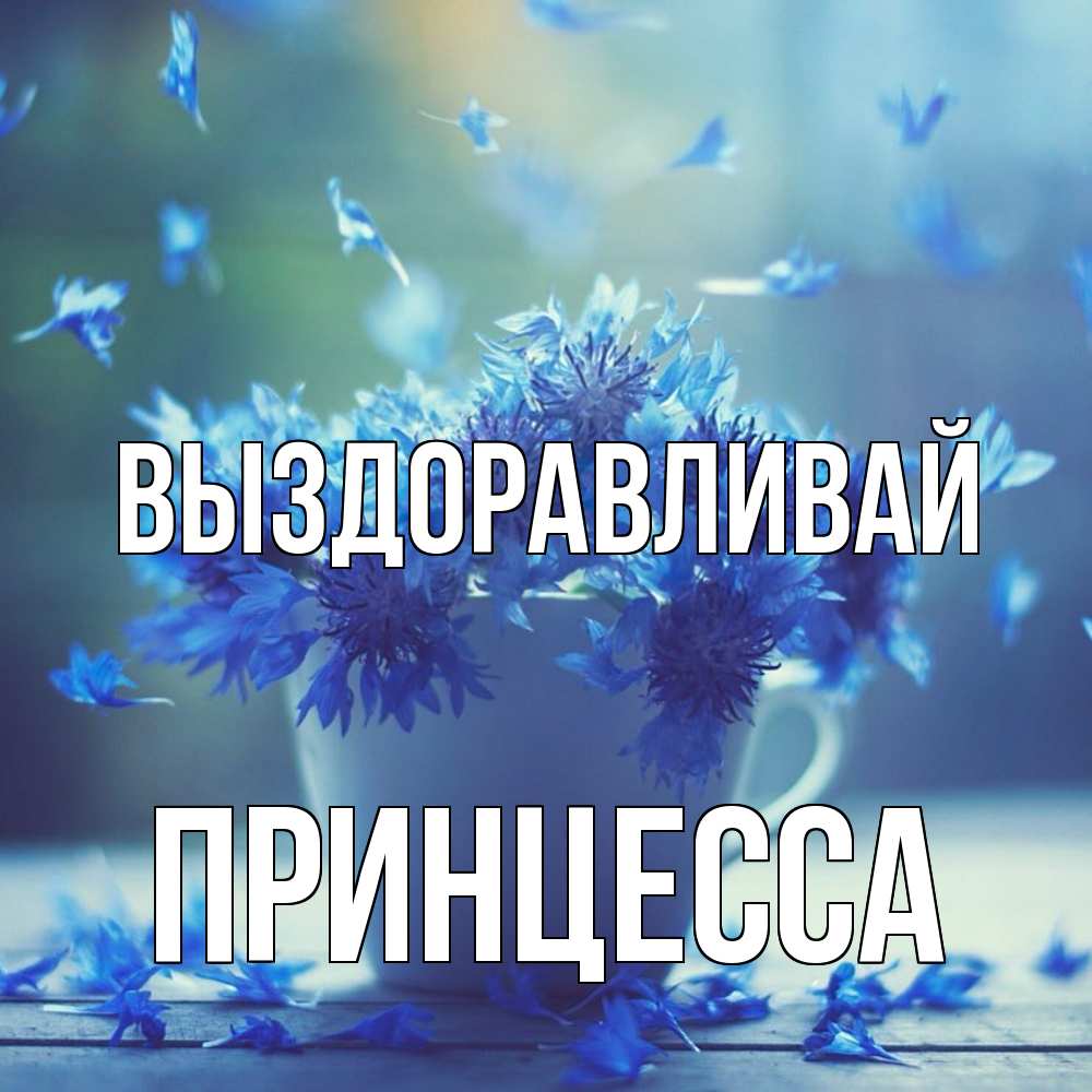 Открытка на каждый день с именем, Принцесса Выздоравливай кружка с зельем и цветами Прикольная открытка с пожеланием онлайн скачать бесплатно 