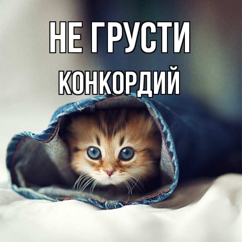 Открытка с именем, Конкордий, Не грусти