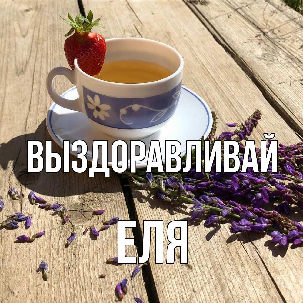 Открытка на каждый день с именем, Еля Выздоравливай чай Прикольная открытка с пожеланием онлайн скачать бесплатно 
