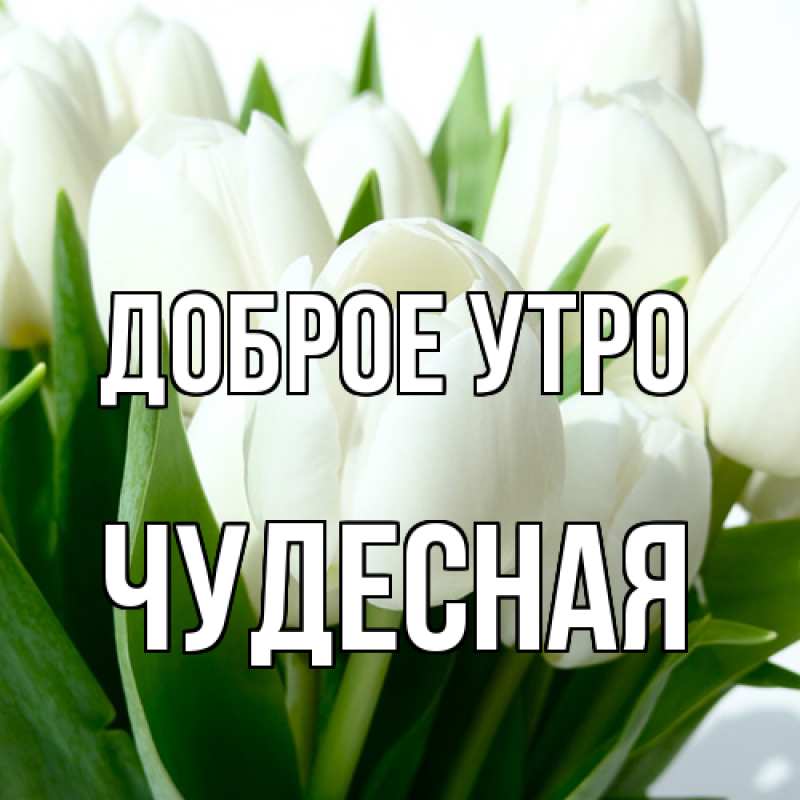 Картинка Доброе утро, Чудесная