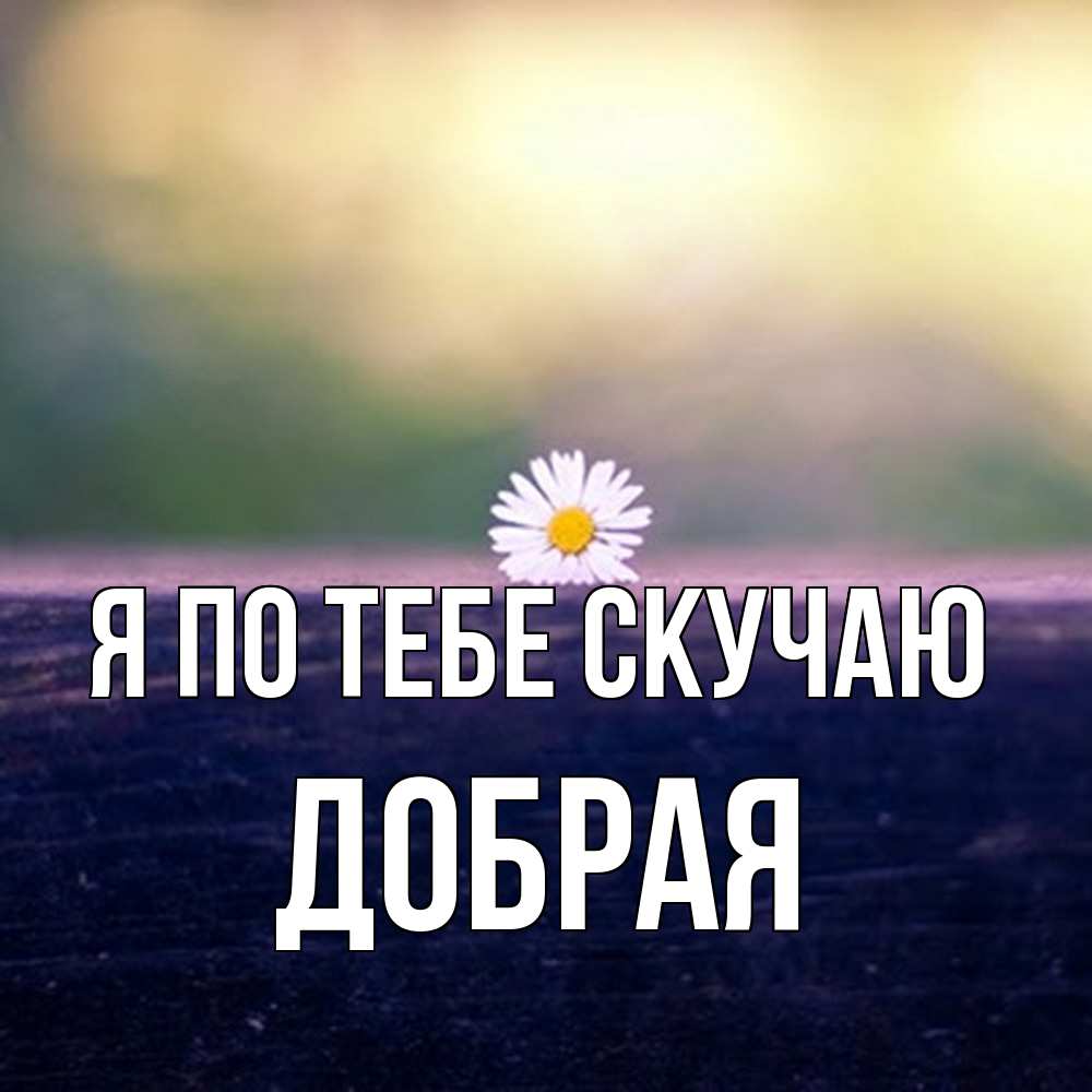 Открытка на каждый день с именем, Добрая Я по тебе скучаю приходи в гости Прикольная открытка с пожеланием онлайн скачать бесплатно 