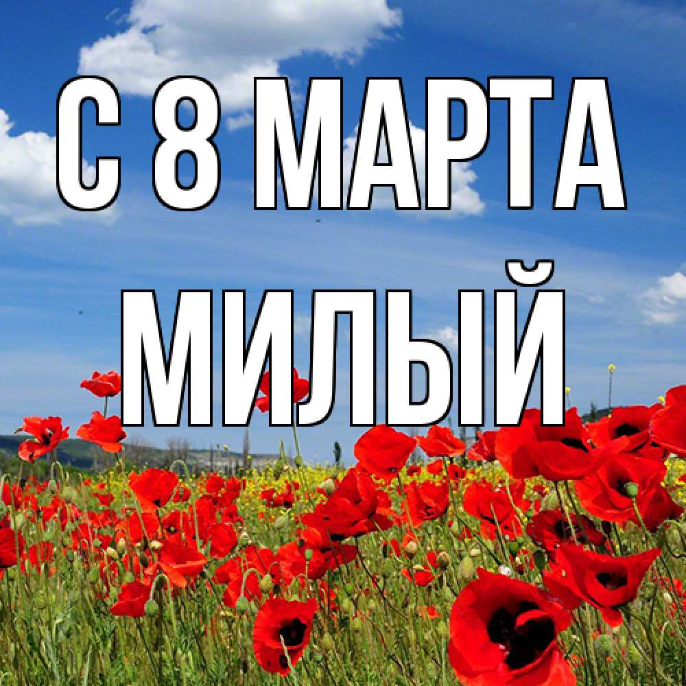 Открытка на каждый день с именем, Милый C 8 МАРТА международный женский день 1 Прикольная открытка с пожеланием онлайн скачать бесплатно 