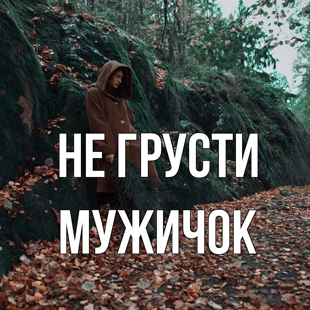 Открытка на каждый день с именем, Мужичок Не грусти осенний лес Прикольная открытка с пожеланием онлайн скачать бесплатно 