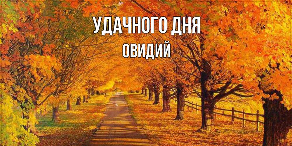 Открытка на каждый день с именем, Овидий Удачного дня деревья с осенними листьями Прикольная открытка с пожеланием онлайн скачать бесплатно 
