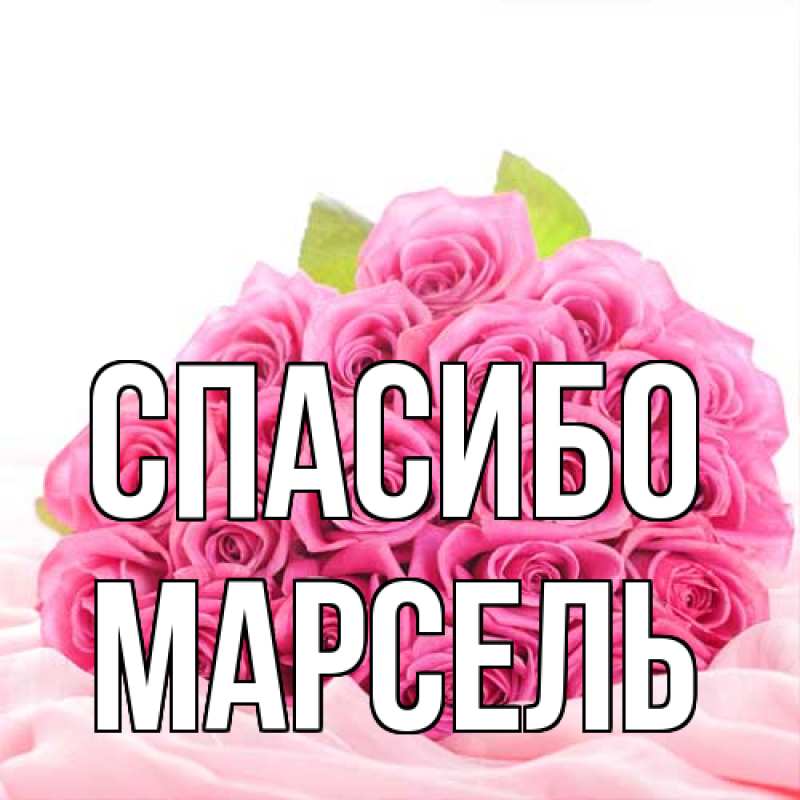 Картинка Спасибо, Марсель
