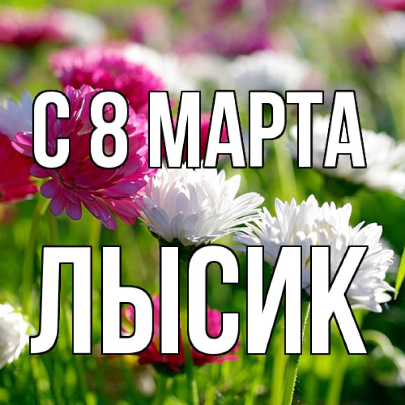 Картинка C 8 МАРТА, Лысик