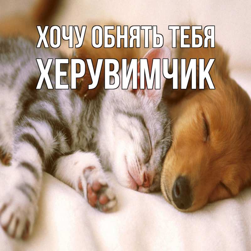 Открытка с именем, Хеpувимчик, Хочу обнять тебя