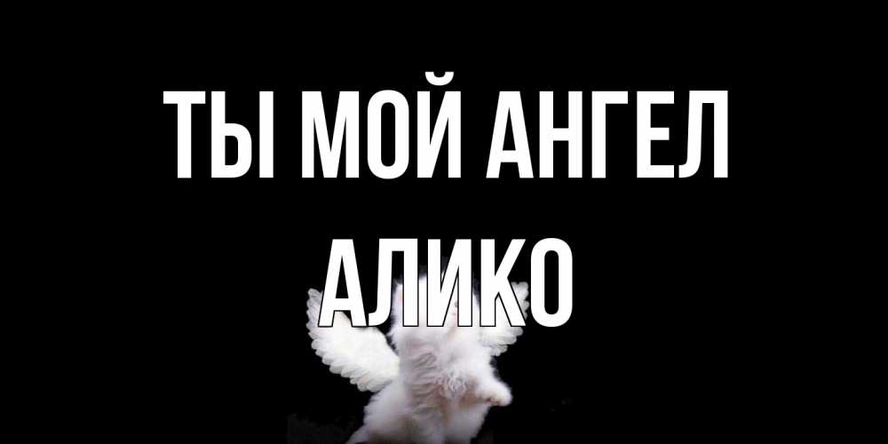 Открытка на каждый день с именем, Алико Ты мой ангел Кот ангел Прикольная открытка с пожеланием онлайн скачать бесплатно 