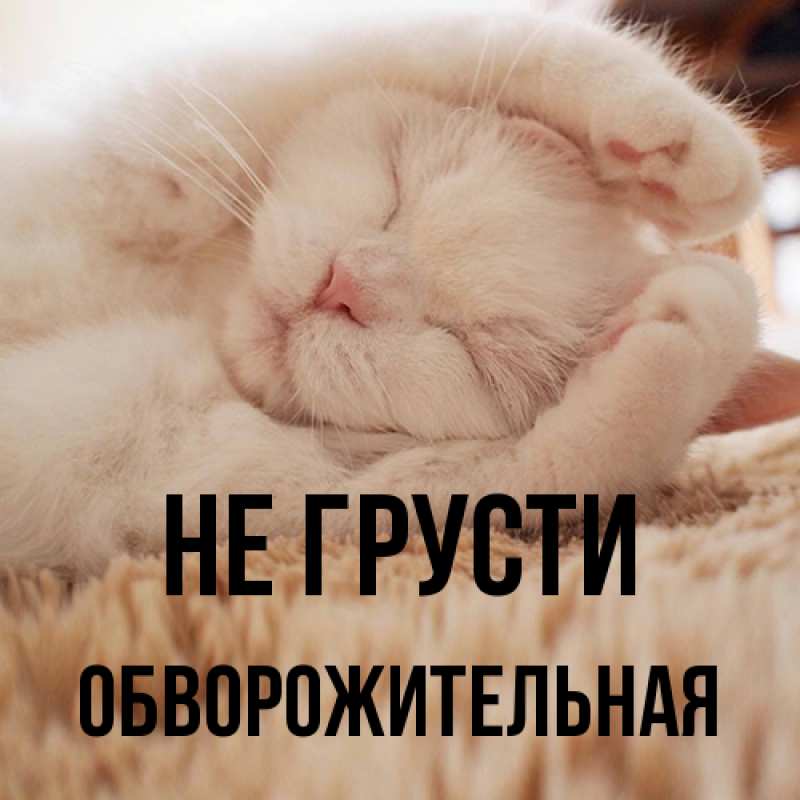 Картинка Не грусти, Обвоpожительная