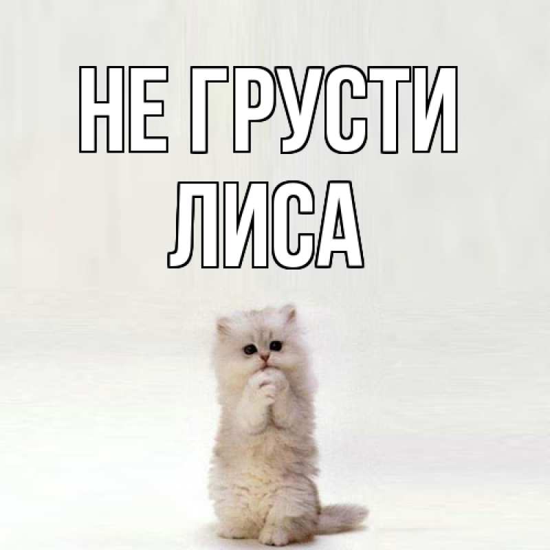 Картинка Не грусти, лиса