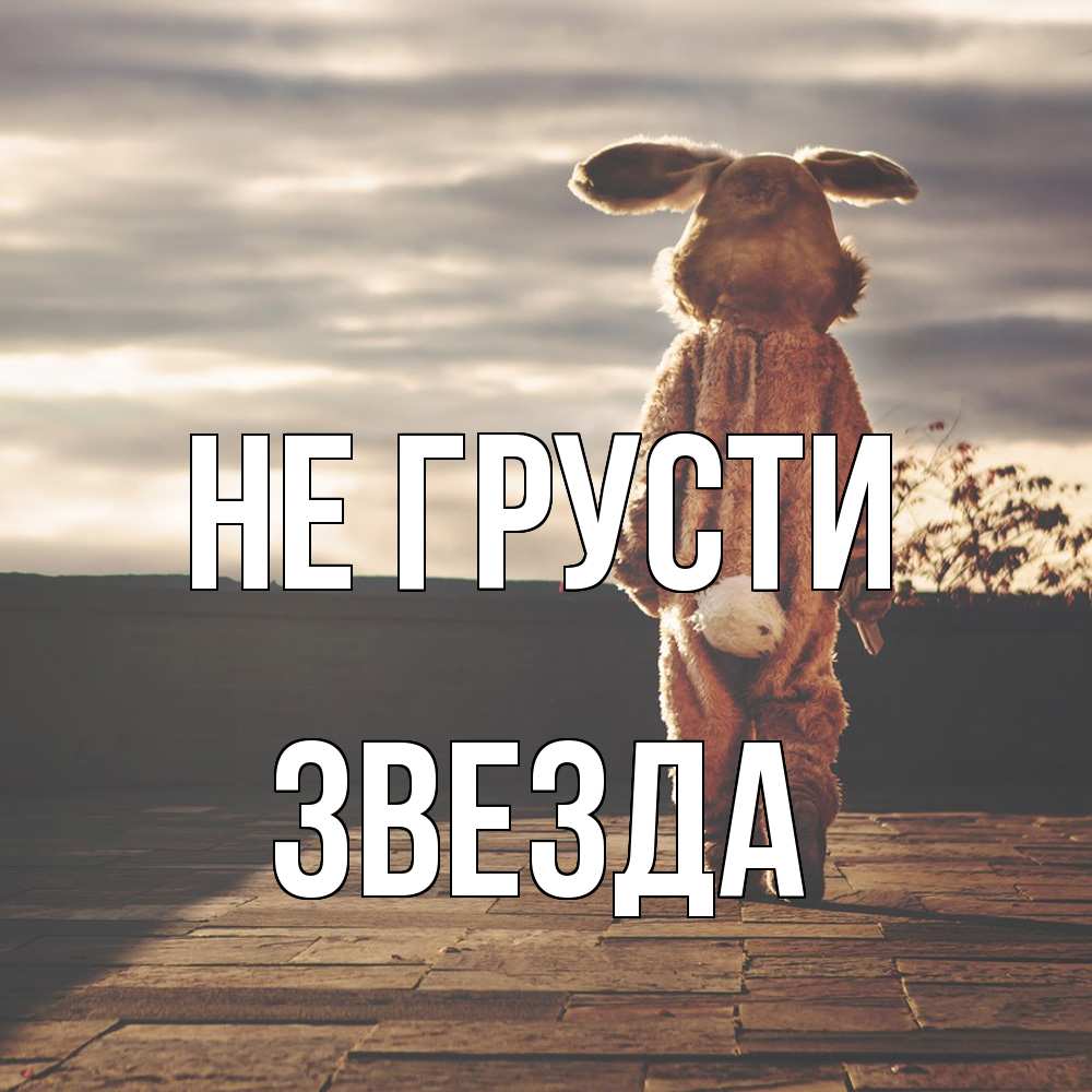 Открытка на каждый день с именем, Звезда Не грусти со спины Прикольная открытка с пожеланием онлайн скачать бесплатно 