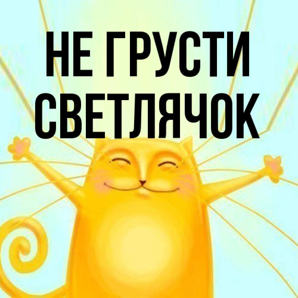 Открытка на каждый день с именем, Светлячок Не грусти обнимашки усатые Прикольная открытка с пожеланием онлайн скачать бесплатно 