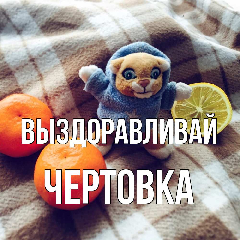 Открытка на каждый день с именем, Чертовка Выздоравливай вот тебе апельсинка и лимон Прикольная открытка с пожеланием онлайн скачать бесплатно 