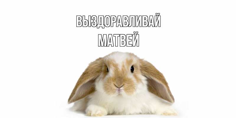 Картинка Выздоравливай, Матвей