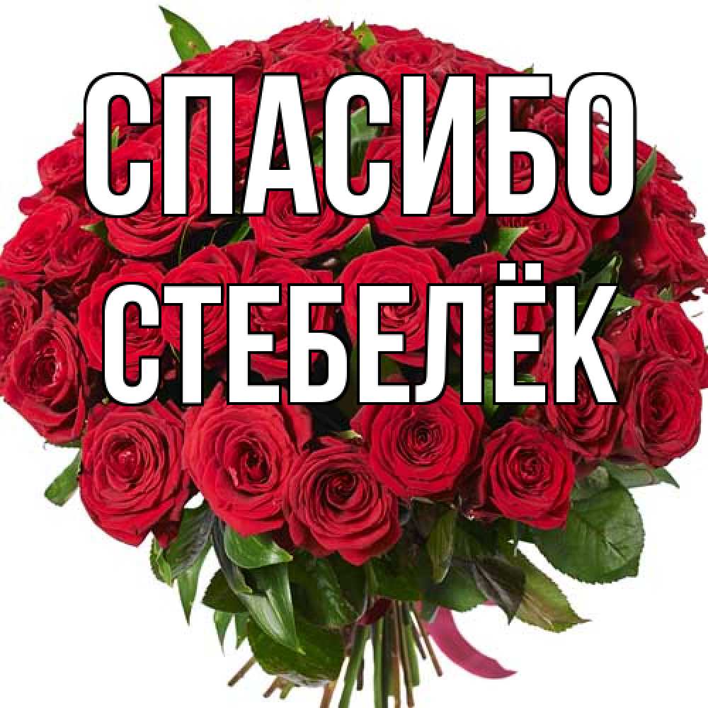 Открытка на каждый день с именем, Стебелёк Спасибо букет красных роз Прикольная открытка с пожеланием онлайн скачать бесплатно 