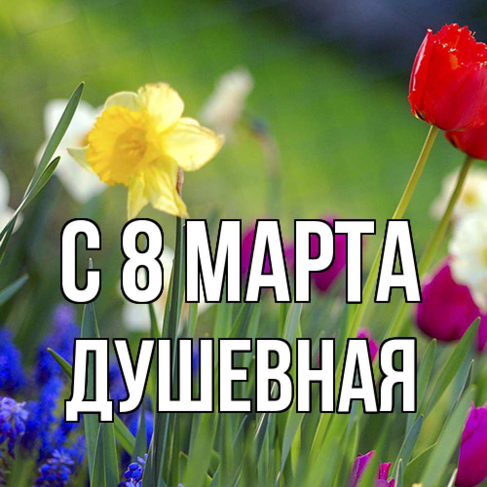 Открытка на каждый день с именем, Душевная C 8 МАРТА международный женский день 3 Прикольная открытка с пожеланием онлайн скачать бесплатно 