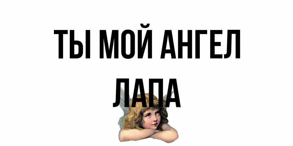 Открытка на каждый день с именем, Лапа Ты мой ангел ангел Прикольная открытка с пожеланием онлайн скачать бесплатно 