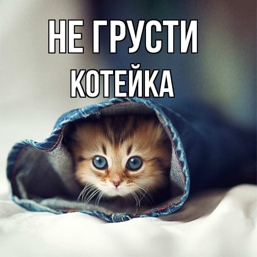Открытка на каждый день с именем, Котейка Не грусти рыжик котик Прикольная открытка с пожеланием онлайн скачать бесплатно 