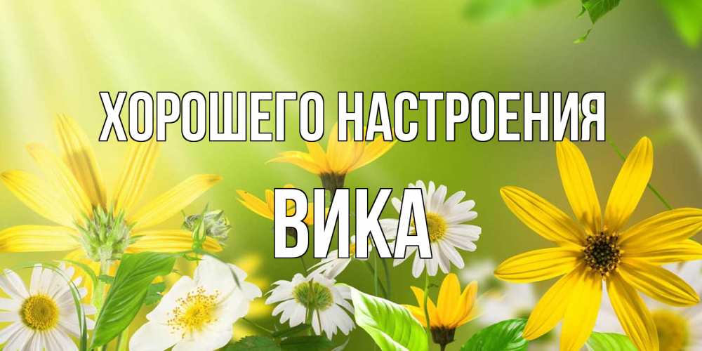 Открытка на каждый день с именем, Вика Хорошего настроения цветы Прикольная открытка с пожеланием онлайн скачать бесплатно 
