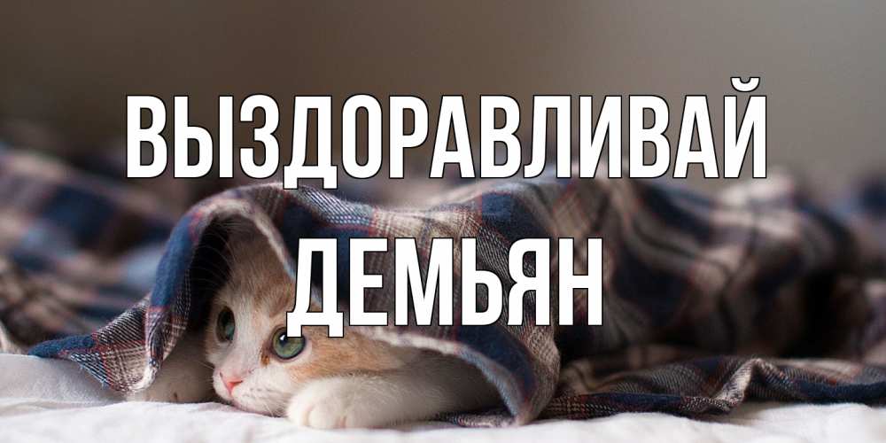 Открытка на каждый день с именем, Демьян Выздоравливай не болейте с котиком Прикольная открытка с пожеланием онлайн скачать бесплатно 