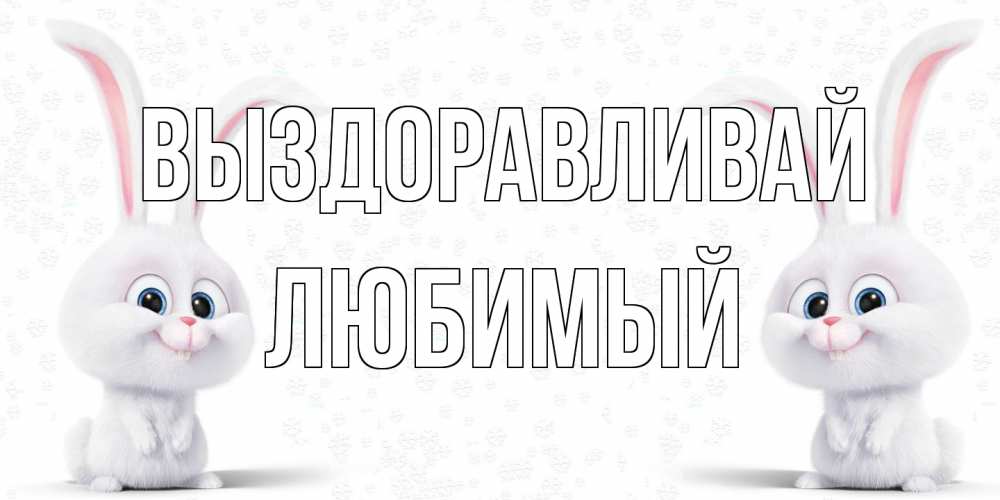 Открытка на каждый день с именем, Любимый Выздоравливай не болей с зайцем Прикольная открытка с пожеланием онлайн скачать бесплатно 