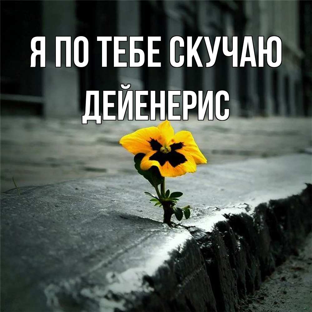 Открытка на каждый день с именем, Дейенерис Я по тебе скучаю надеюсь будет лучше Прикольная открытка с пожеланием онлайн скачать бесплатно 