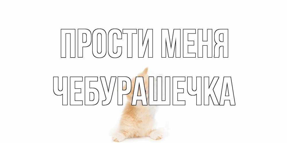 Открытка на каждый день с именем, Чебурашечка Прости меня кот Прикольная открытка с пожеланием онлайн скачать бесплатно 