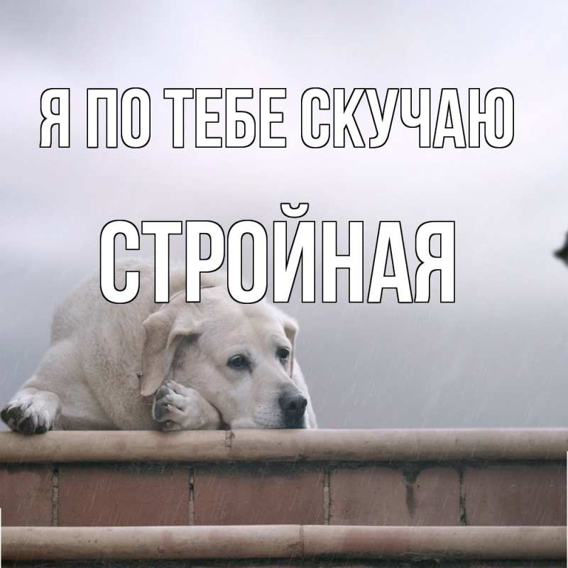 Картинка Я по тебе скучаю, Стройная