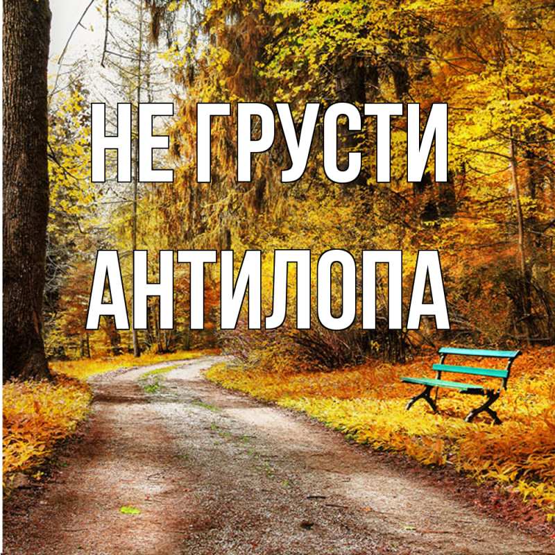 Открытка с именем, антилопа, Не грусти