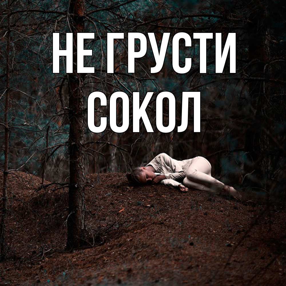 Открытка на каждый день с именем, Сокол Не грусти лес Прикольная открытка с пожеланием онлайн скачать бесплатно 