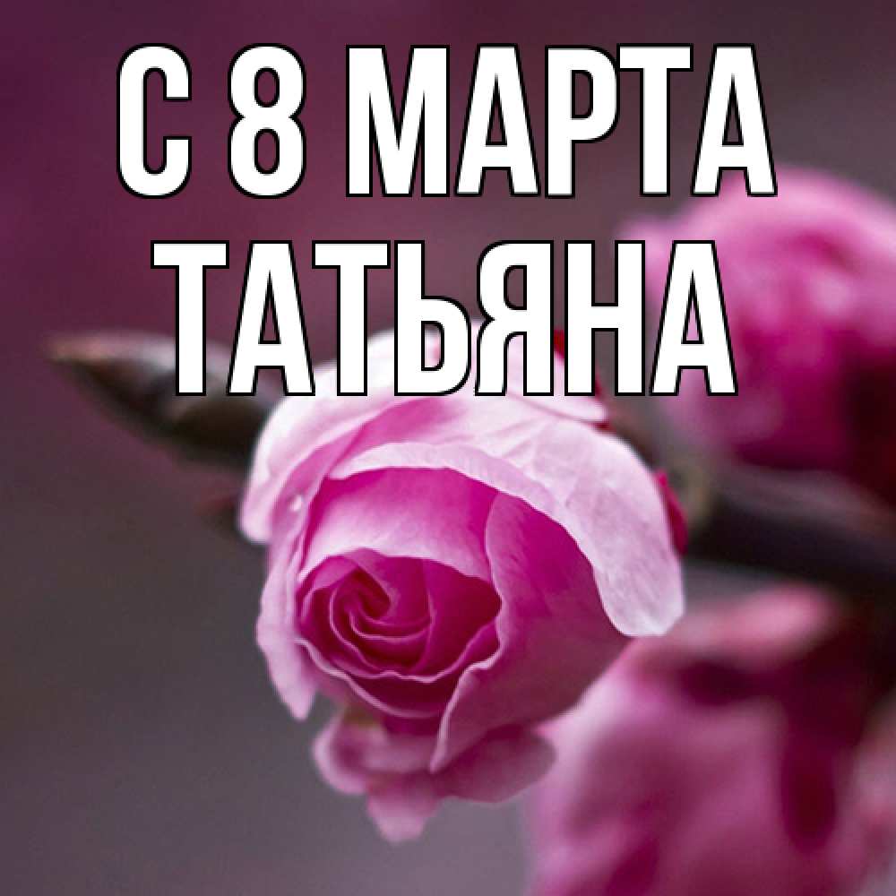 Открытка на каждый день с именем, Татьяна C 8 МАРТА весна Прикольная открытка с пожеланием онлайн скачать бесплатно 