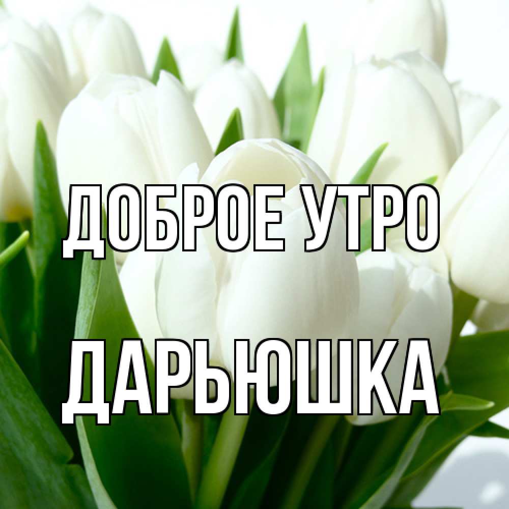 Открытка на каждый день с именем, Дарьюшка Доброе утро открытки на каждый день по именам Прикольная открытка с пожеланием онлайн скачать бесплатно 