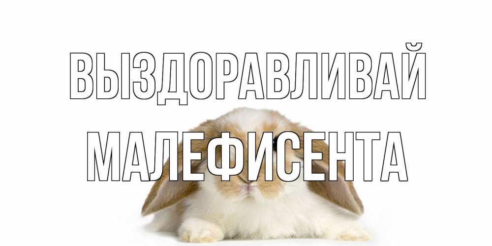 Открытка на каждый день с именем, Малефисента Выздоравливай вислоухий кролик белого и коричневого цвета Прикольная открытка с пожеланием онлайн скачать бесплатно 