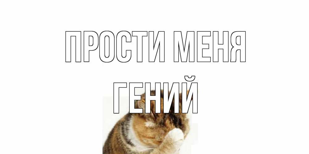 Открытка на каждый день с именем, Гений Прости меня кот Прикольная открытка с пожеланием онлайн скачать бесплатно 