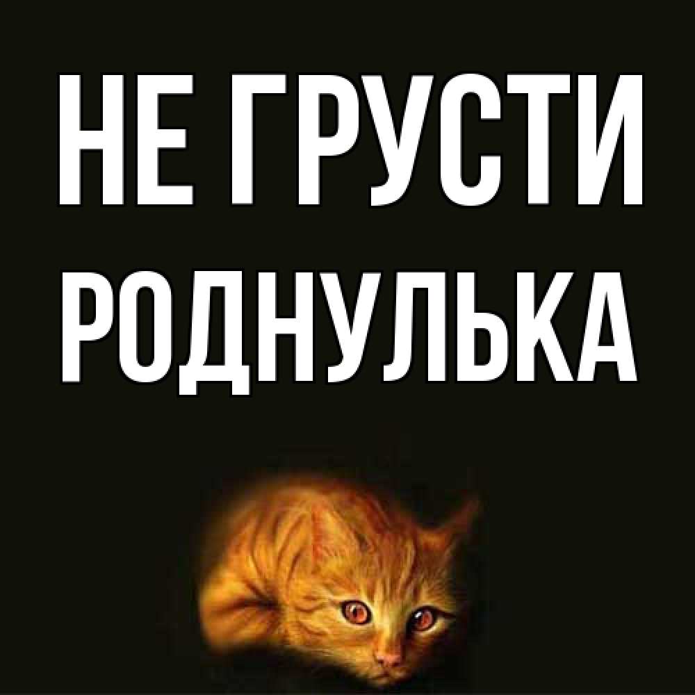 Открытка на каждый день с именем, Роднулька Не грусти лежащий кот в темноте Прикольная открытка с пожеланием онлайн скачать бесплатно 