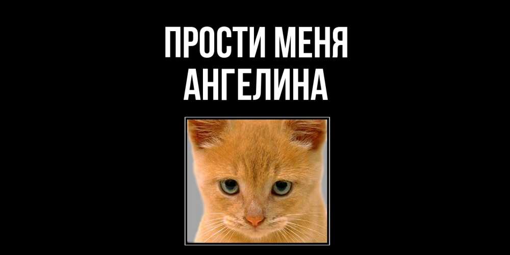 Открытка на каждый день с именем, Ангелина Прости меня рыжий грустный кот просит прощения Прикольная открытка с пожеланием онлайн скачать бесплатно 